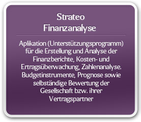 Strateo Finanzanalyse